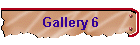 Gallery 6