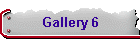 Gallery 6