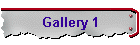 Gallery 1