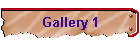 Gallery 1