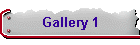 Gallery 1