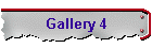 Gallery 4