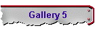 Gallery 5