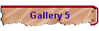 Gallery 5