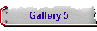Gallery 5