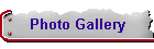 Photo Gallery