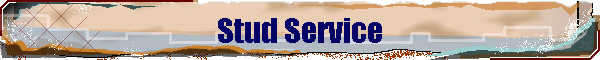 Stud Service