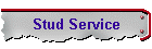Stud Service