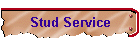 Stud Service